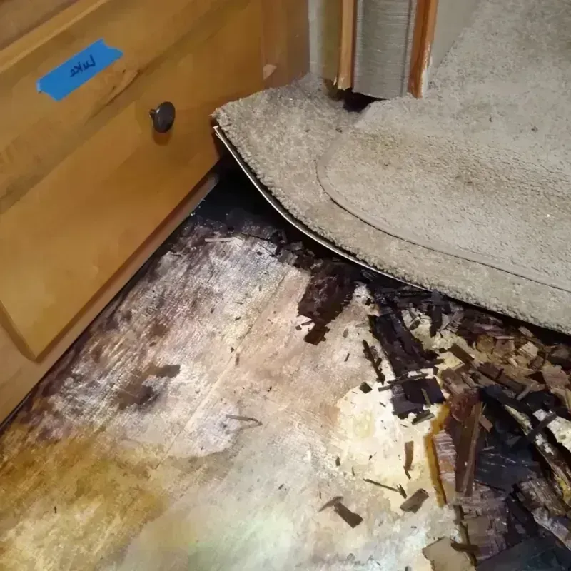 Best Wood Floor Water Damage Service in Chisago County, MN